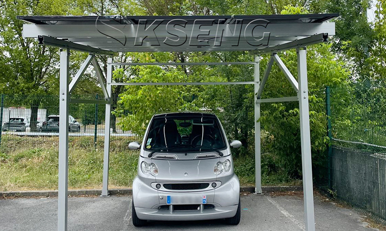 French Solar Carport Case