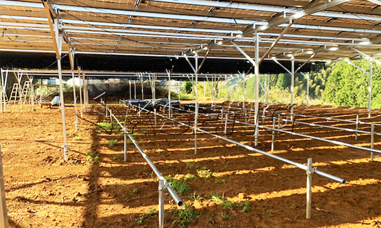 Agricultural Greenhouse-Installed Capacity 424.32KW