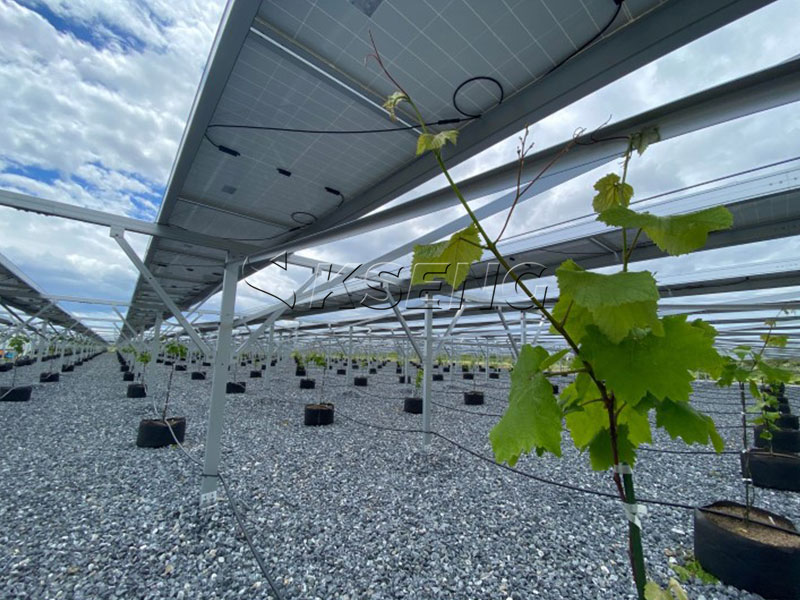 High-clearance agrivoltaic mounting system Kseng-Energy-Agri-PV-mounting-structure