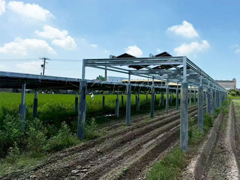 Kseng's Custom Solar Agricultural Shed Project in Changhua, Taiwan: A 158.835KW Ground Mount System with Adjustable Angles