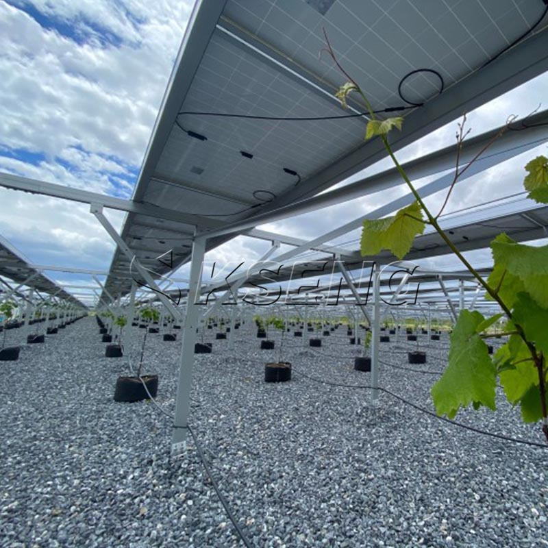 solar farm mounting system（1）