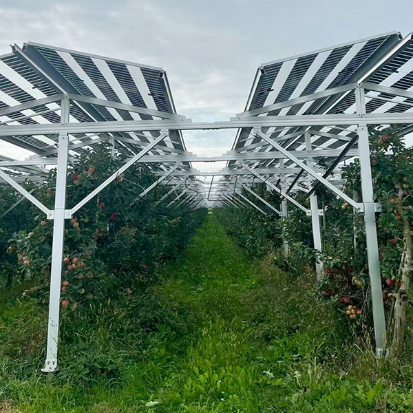 solar farm mounting system.jpg