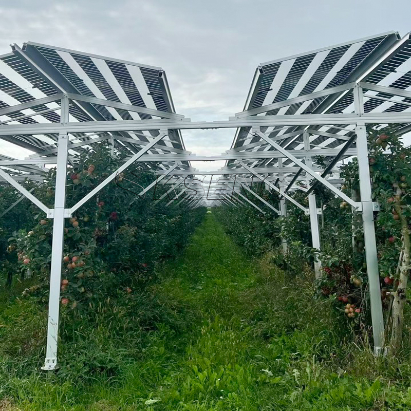 solar farm mounting system