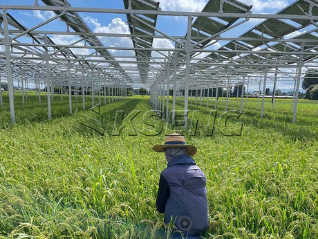 Agri-PV-mounting-structure-height-and-spacing-design.jpg